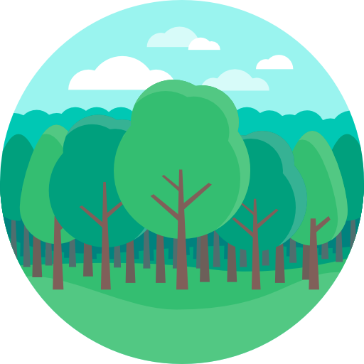 MMW — trees